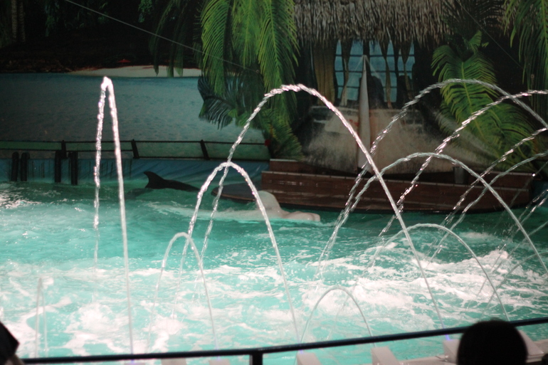 Дельфинарий