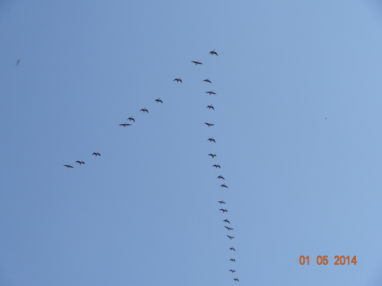 Выходные на даче.