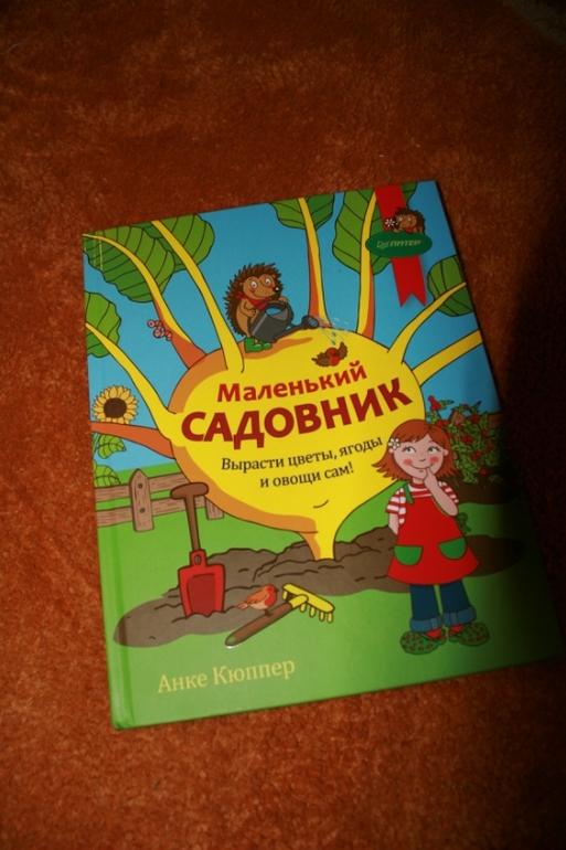 Рассказ маленький садовод м турежанов текст с картинками