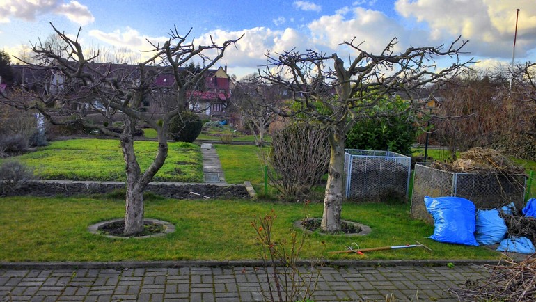 Началась работа на даче