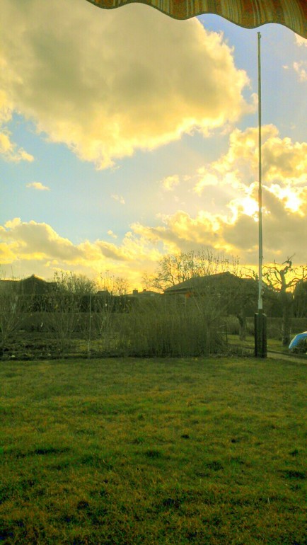 Началась работа на даче