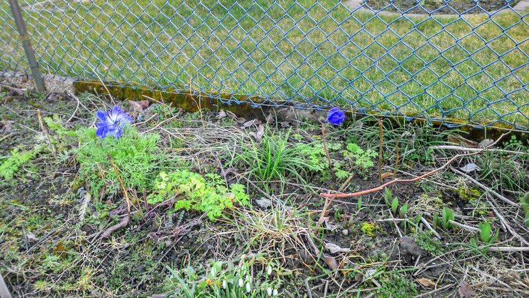 Началась работа на даче