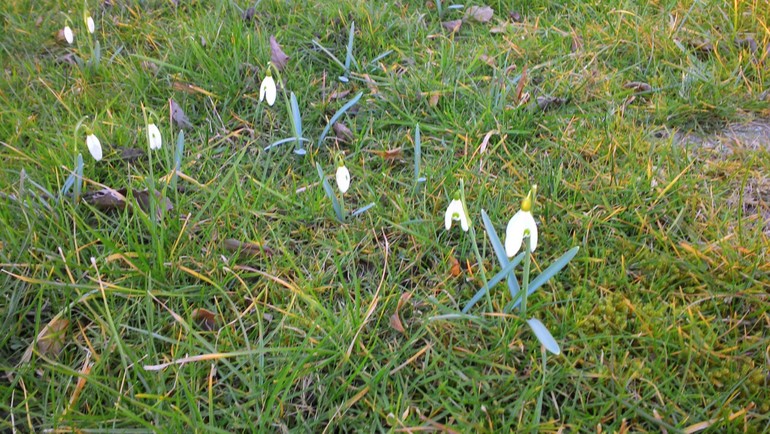 Началась работа на даче