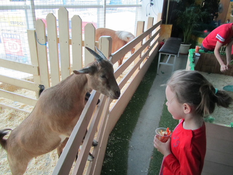 Контактный зоопарк Теплый стан