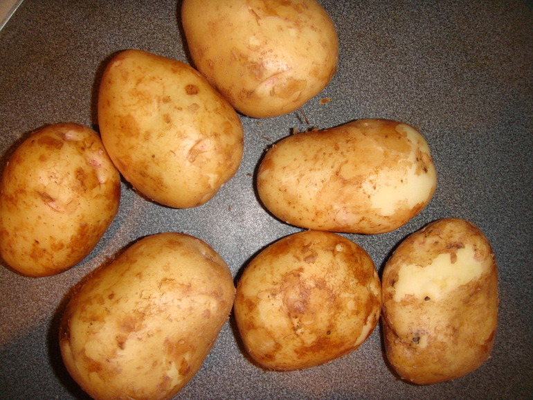 Овощи на нашем столе