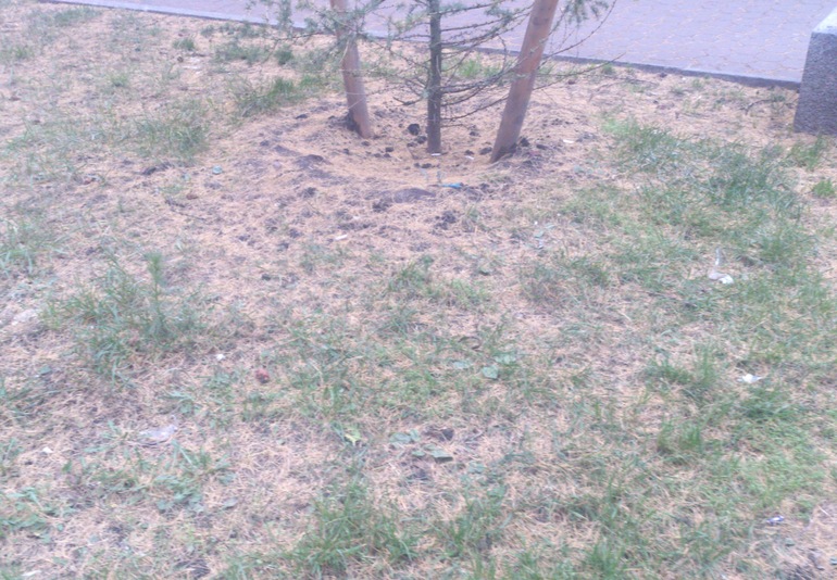 Дожди забренчали сонаты...