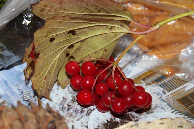 брюки превращаются.....