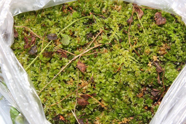 брюки превращаются.....