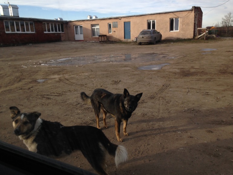 решила написать большой пост моей недели.