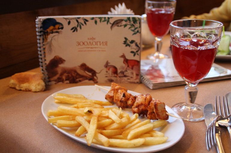 Поесть в зоопарке. Дети в зоопарке. Контактный зоопарк абу даби. Ресторан с зоопарком. Экзотические животные в зоопарке.