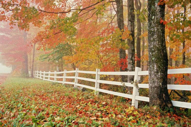 Контрольное задание № 39. Загибаем картинку