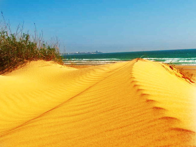 КЗ № 31. Придание цветности изображению