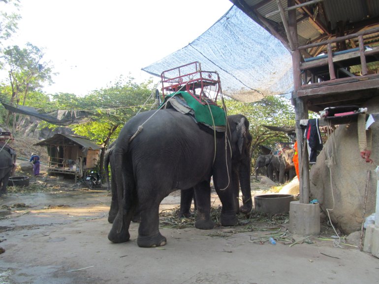 Тайланд, остров Пхукет. Отель Hyton Leelavady.