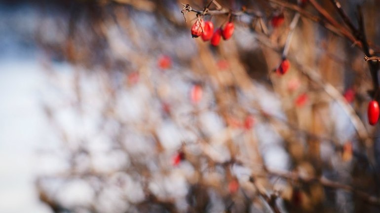 вдохновение.....аууу!