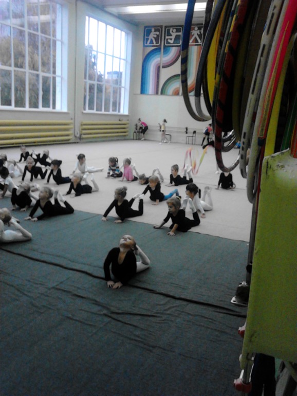 художественная гимнастика