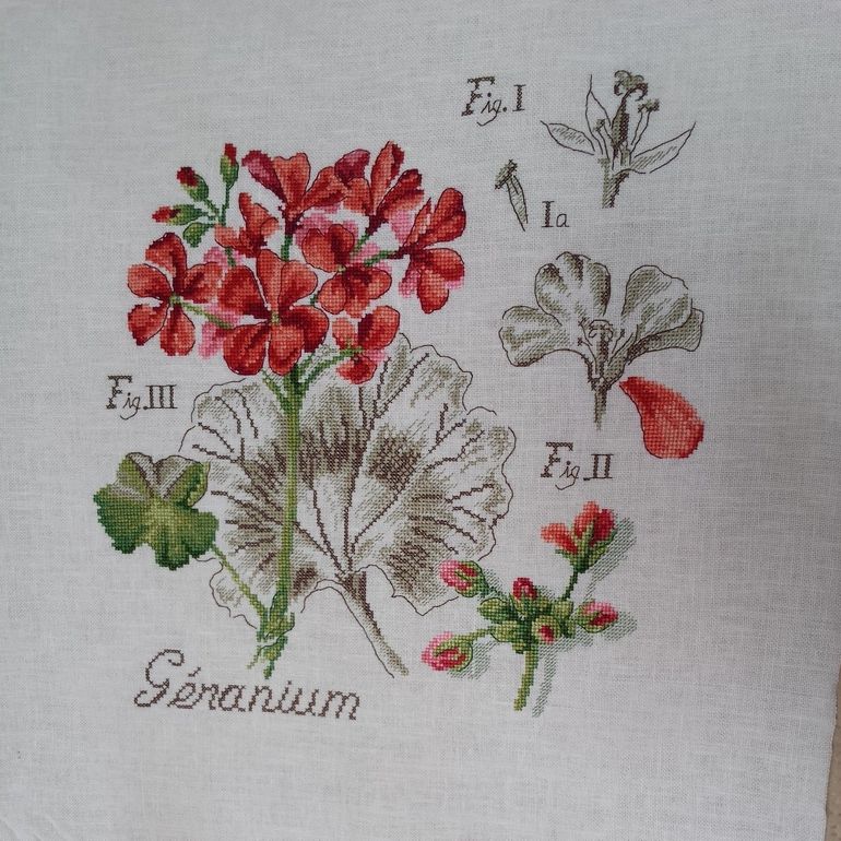 DFEA - ГАЛЕРЕЯ