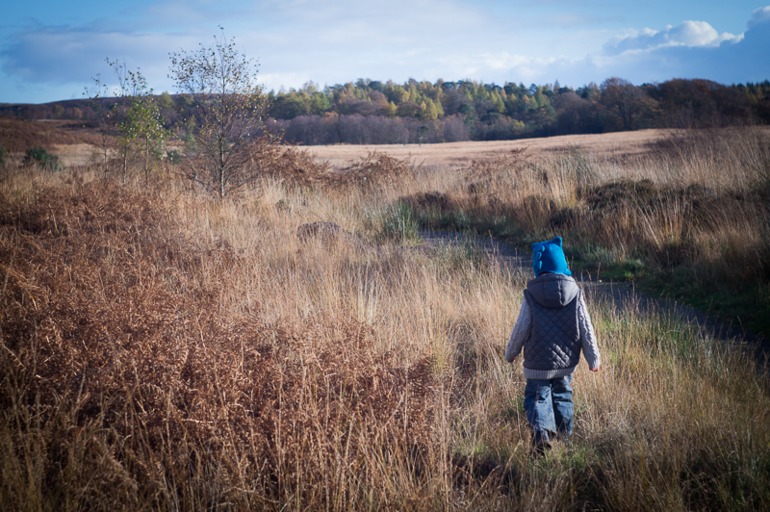 Фокус не ищите