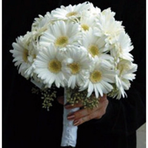 fe17fd3a23a8948383af5141371cc684.jpg