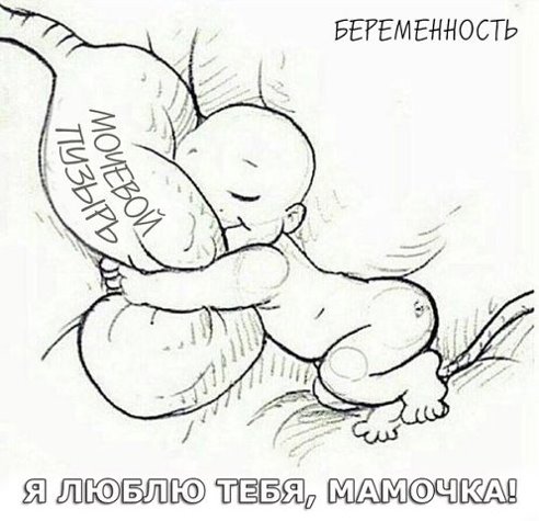 81f5356cd17655805e00ddd3c4635de6.jpg