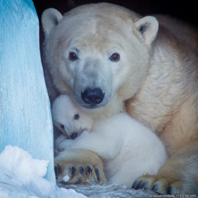 В зоопарке весна!!!