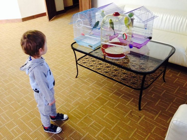 В отпуск с ребенком.