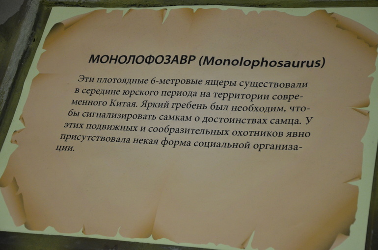 fd1a958d0a6bc59411a6c03025e3e446.jpg