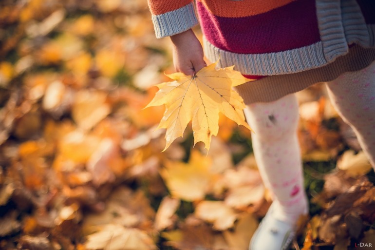 Золотая осень