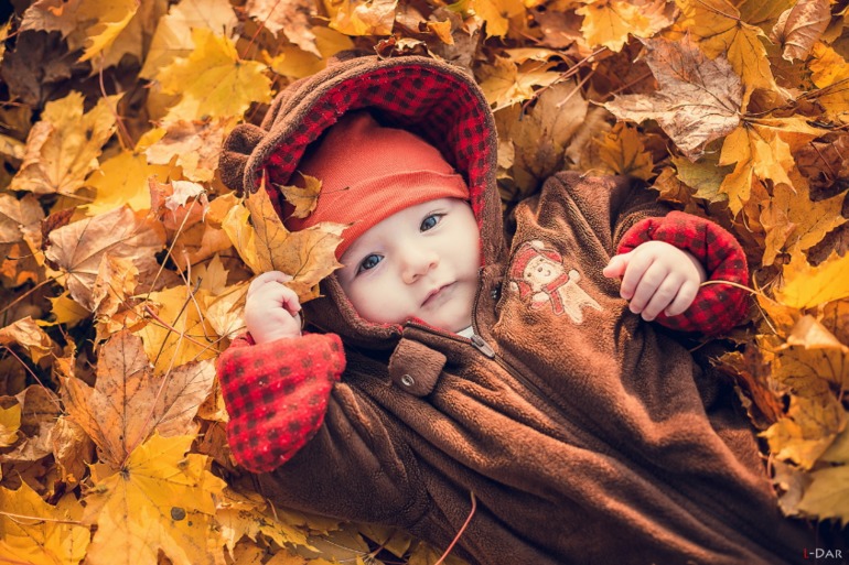 Золотая осень