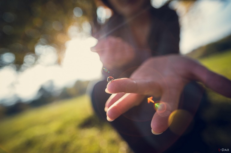 Золотая осень