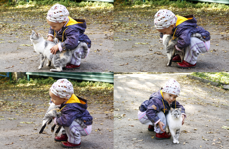 f6cdc07d509e351b5388bcc466a14f3f.jpg