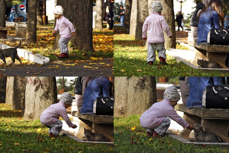 fac07eab0896529bc11be482890f1bc4.jpg