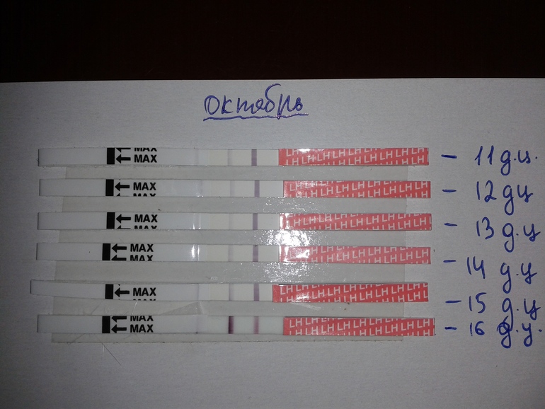 22 день цикла тест на беременность