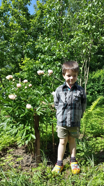 А мы обживаем дачку