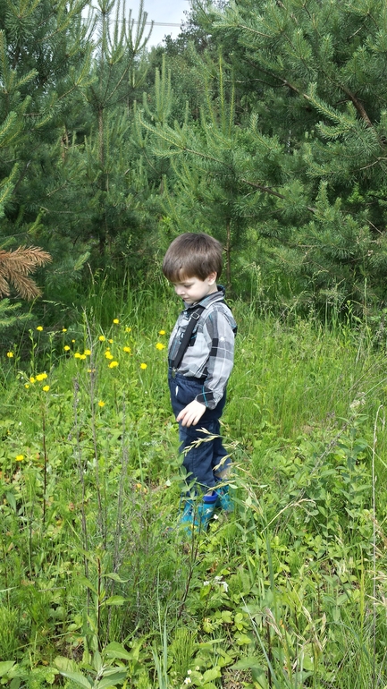 А мы обживаем дачку