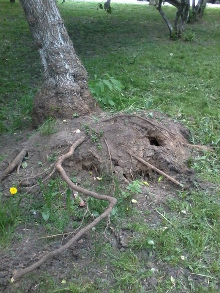 О портале Наш город.