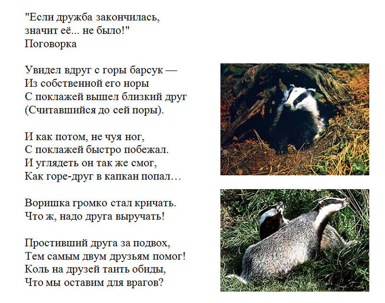 ДВА БАРСУКА