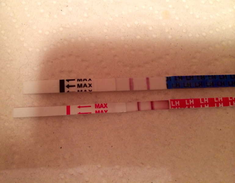 Овуляция вроде она)