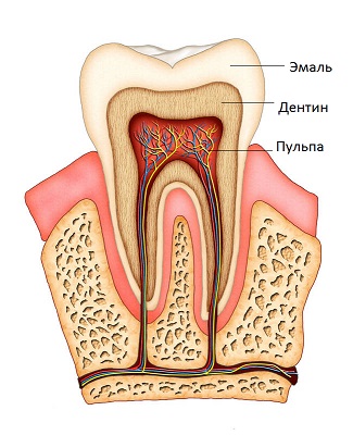 Почему зуб болит?