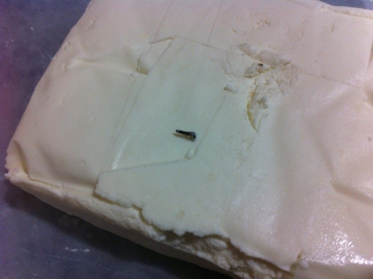 Творог с жуками не хотите?!?!