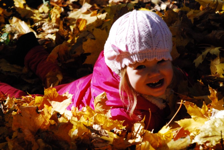 2c6882f7ededcaa1b5dbb47c11df45c5.jpg