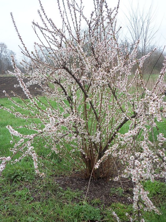 Пришла пора бораться за ☺