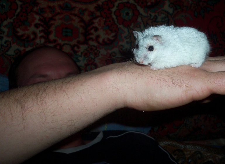 Плюша.✿◠‿◠)