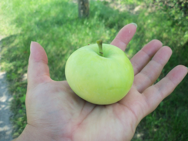 Продолжение следует)