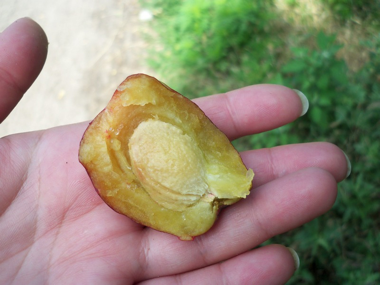 Продолжение следует)