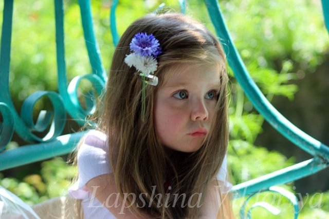 Теперь у нас все фото с водяными знаками....