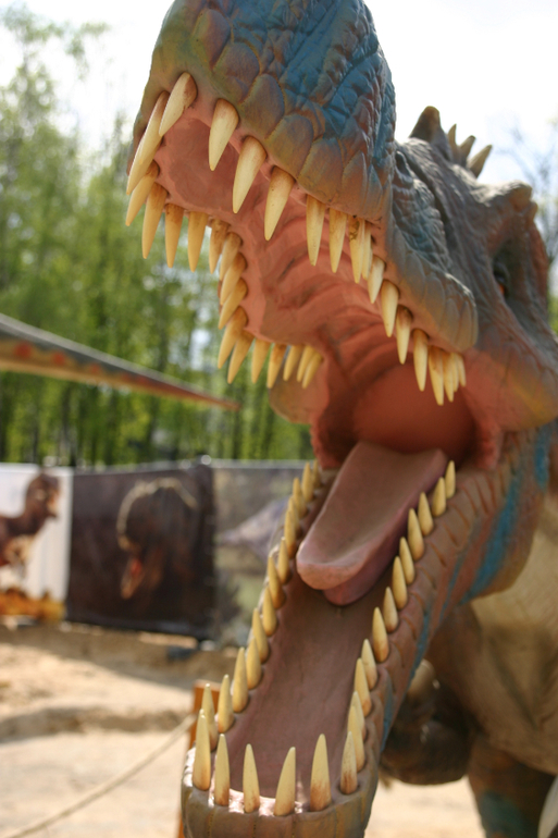 Динопарк на ВВЦ.