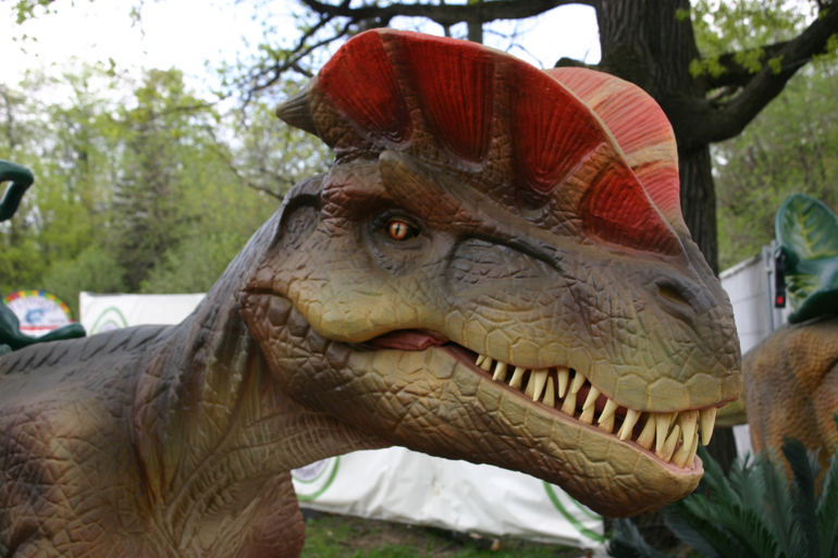 Динопарк на ВВЦ.