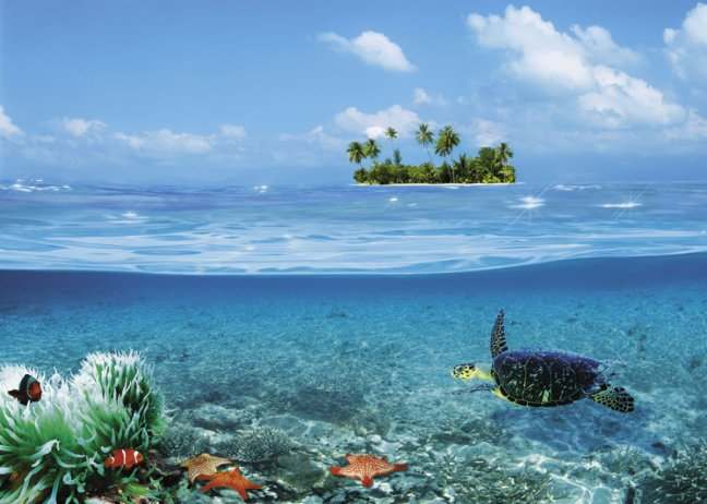 Нужен совет по фотообоям