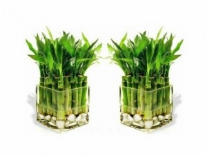 дизайн ванной)