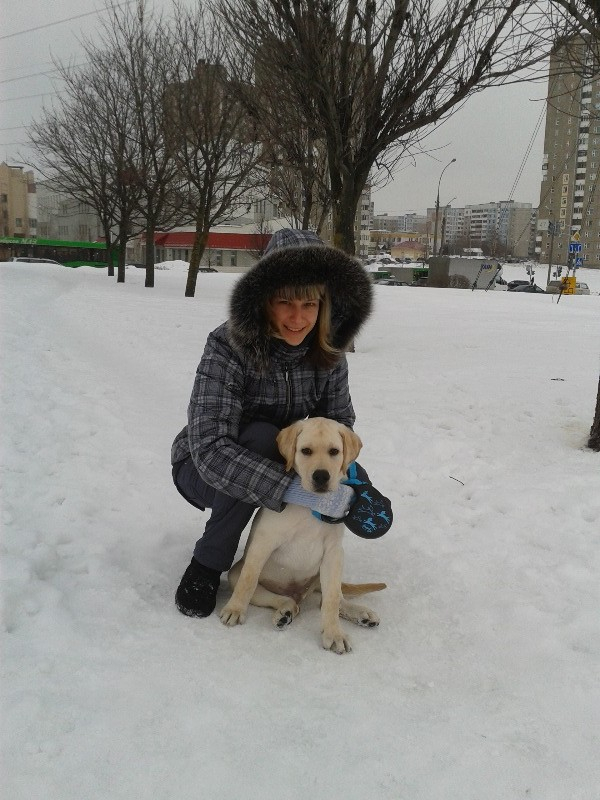 Картинка